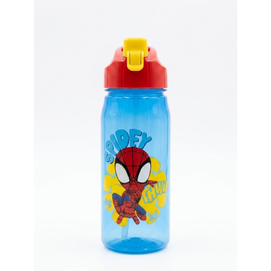 Botella Zinc Spidey