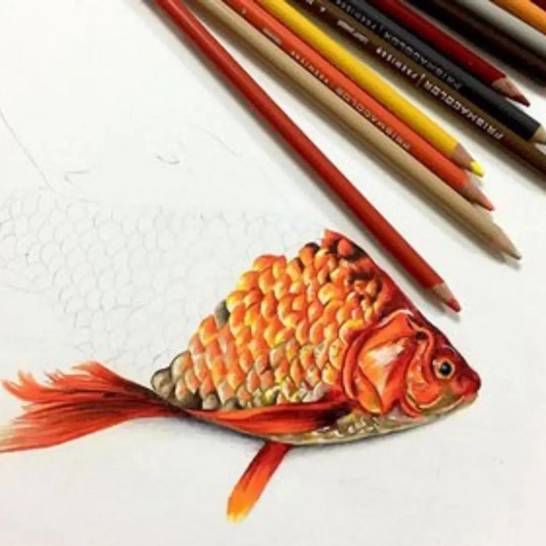 Colores Prismacolor 18 Unidades
