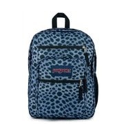 Morral Big Student Surreal Spots